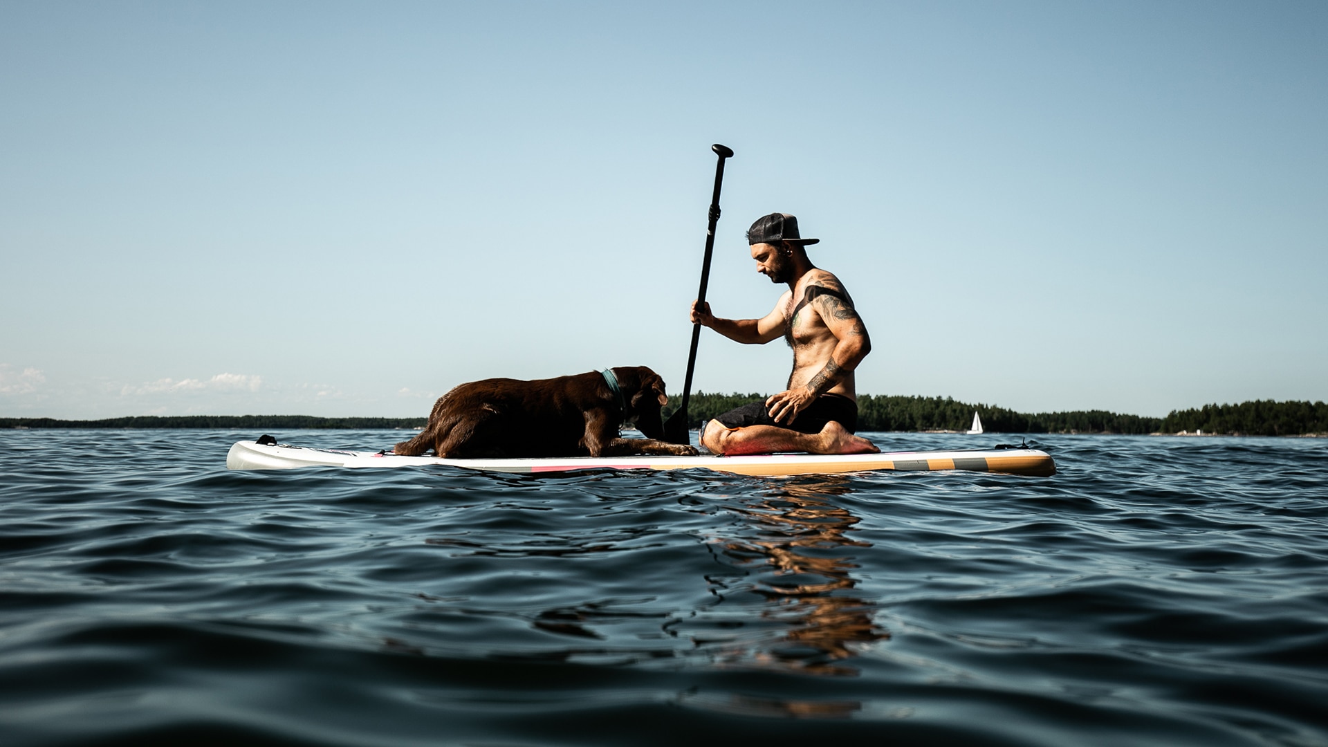 Junger Mann und ein Hund sitzen auf einem SUP auf einem See für die Jack Wolfskin Kampagne #GOBACKPACK
